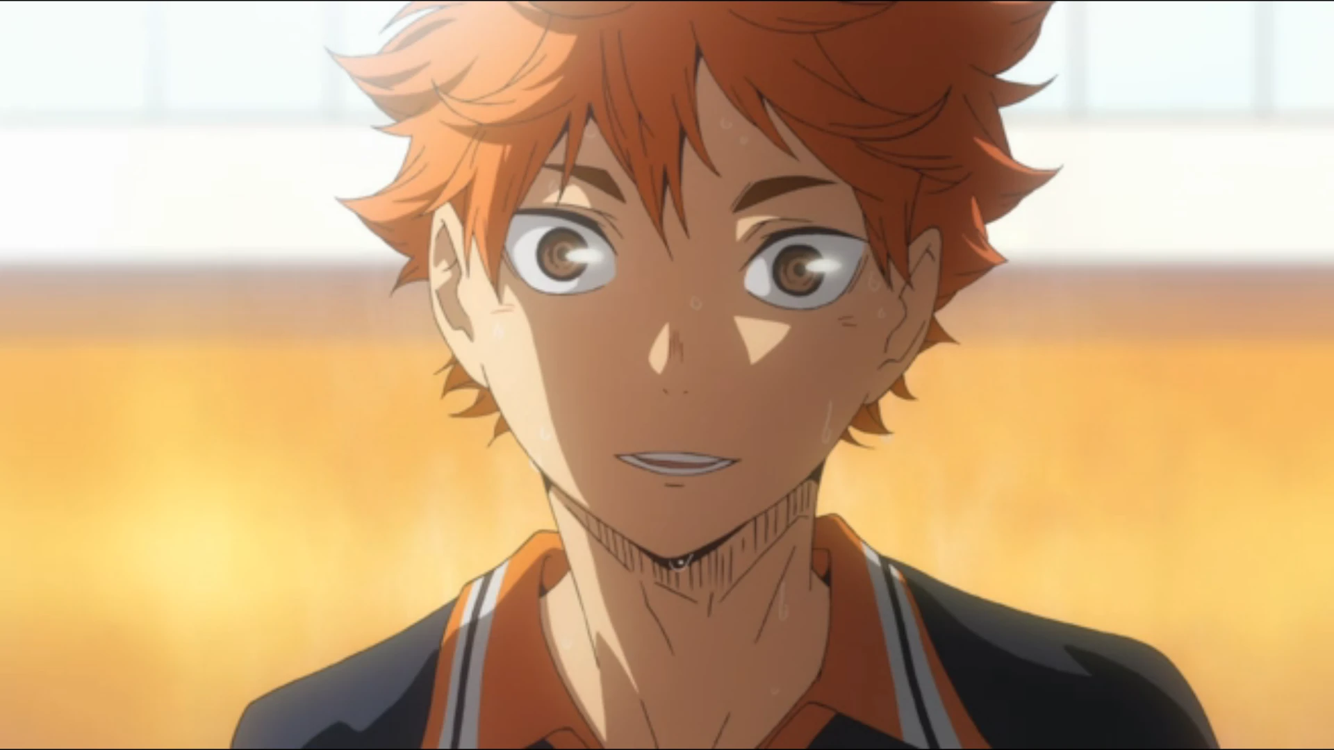 Haikyu Shoyo Hinata se torna um Pequeno Gigante no final da série Nouse Notícias Anime