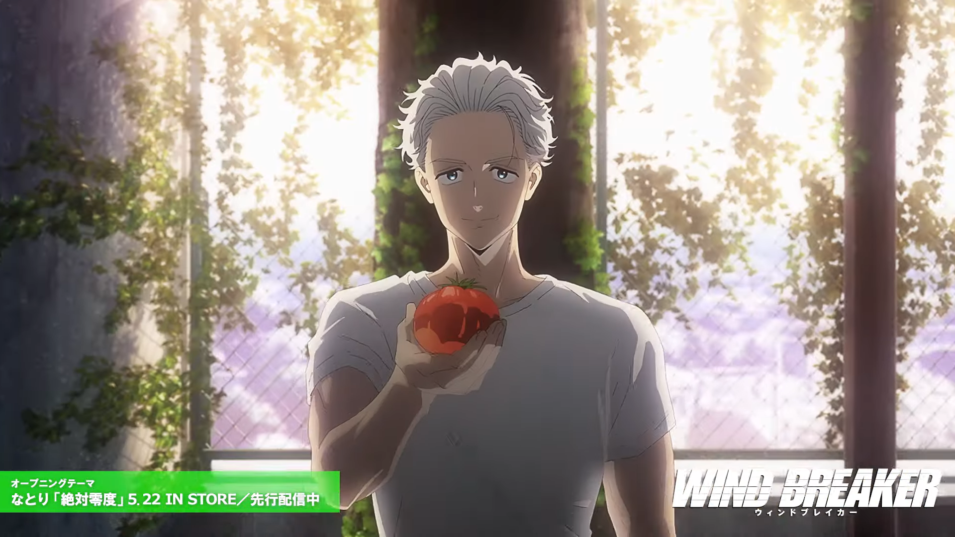 Wind Breaker, dirigida pelo diretor de Bleach TYBW, está agora no canal da Aniplex no YouTube