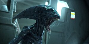 Alien Earth Noah Hawley revelanovo Xenomorfo