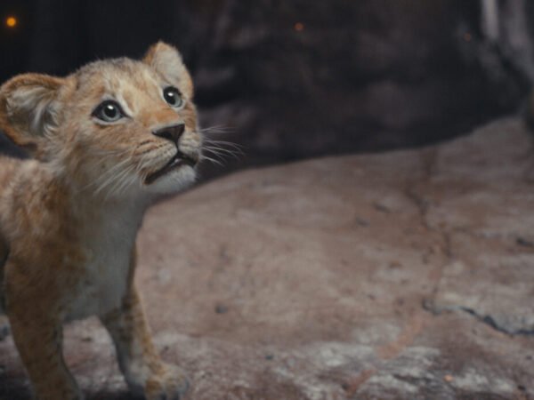 Crítica de Mufasa: O Rei Leão 3 MUFASA: THE LION KING