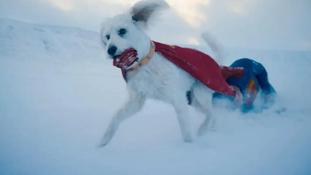 Krypto brilha em prévia de Superman 1 Krypto brilha em prévia de Superman
