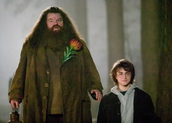 HBO revela a primeira imagem de Hagrid na série Harry Potter