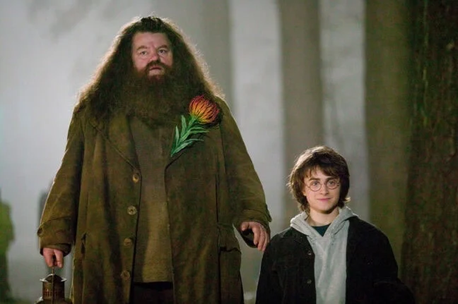 HBO revela a primeira imagem de Hagrid na série Harry Potter 1 HBO revela a primeira imagem de Hagrid na série Harry Potter